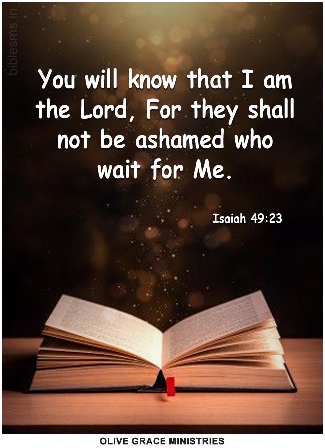 Isaiah 49:23 | Daily Bible Verse