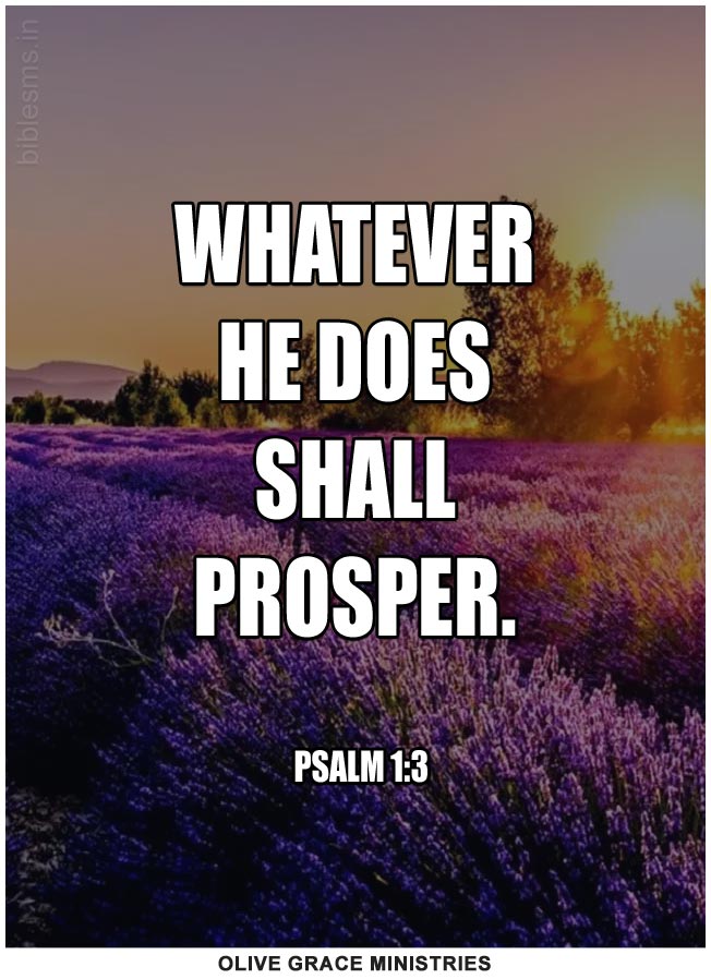 Psalm 1:3 | Daily Bible Verse