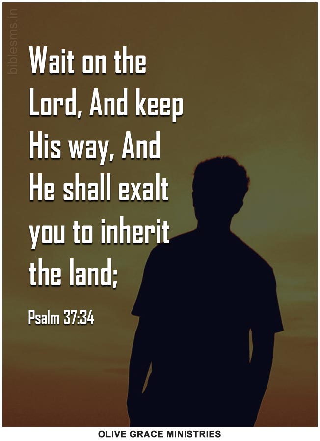 Psalm 37:34 | Daily Bible Verse