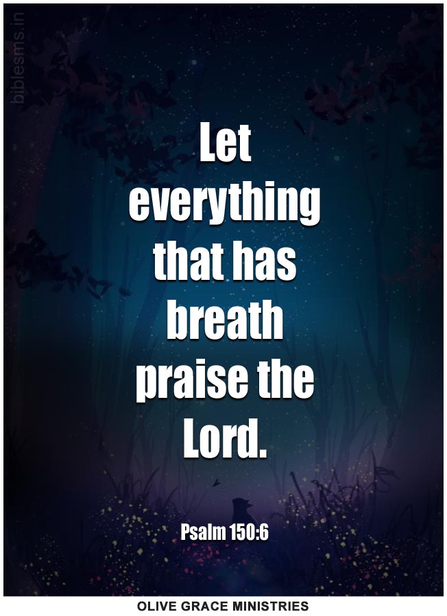 Psalm 150:6 | Daily Bible Verse