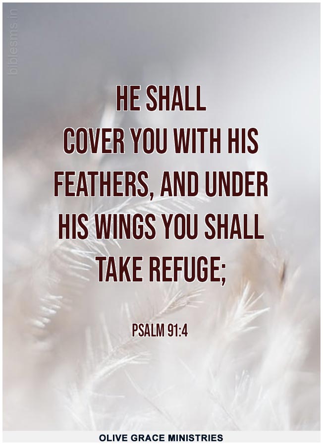 Psalm 91:4 | Daily Bible Verse