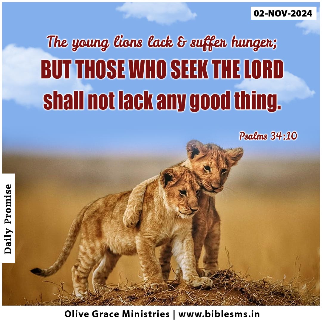 Psalm 34:10 | The young lions lack ….But those who seek the Lord shall not lack.. | Verse of the day